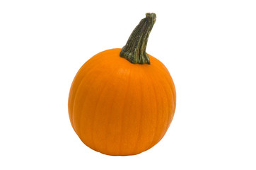 Orange pumpkin