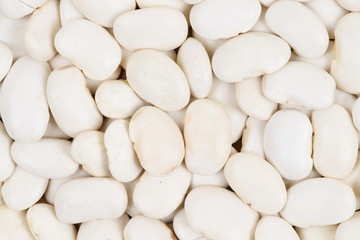 white lima Bean background