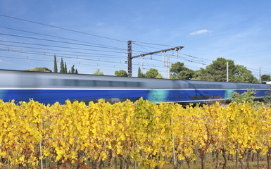 Naklejka premium train rapide dans les vignes