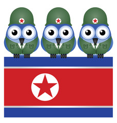 North Korea flag and soldiers