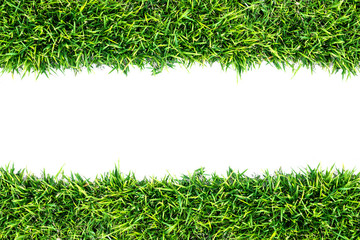 green grass texture and white background