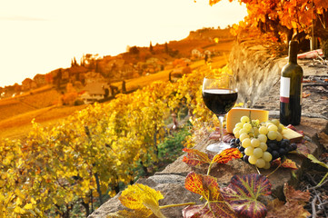 Glas Rotwein auf dem Terrassenweinberg in der Region Lavaux, Schweiz