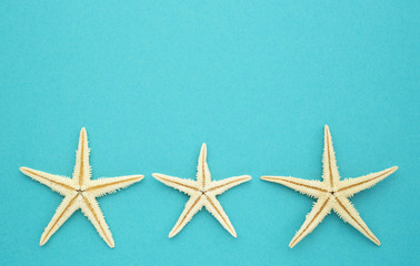 Fototapeta na wymiar Three starfish on blue paper background with copy space