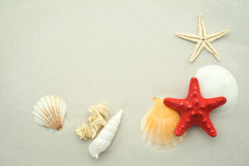 Fototapeta na wymiar Starfish and seashells on sand with copy space
