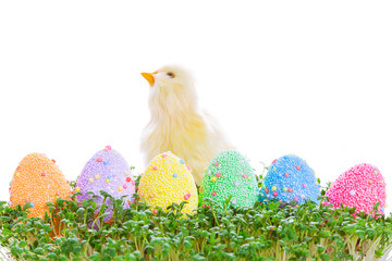 Chick and colorful Easter eggs in garden cress