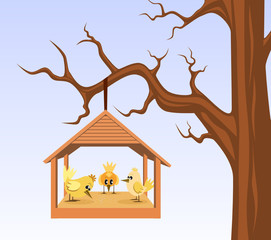 Vogelhaus mit Vögeln wird an Ast gehängt