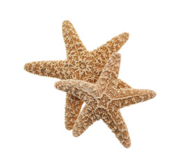 Starfish