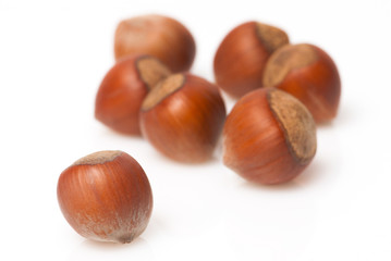 hazelnut