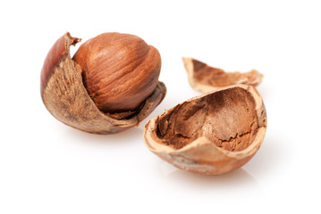 hazelnut