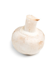 Champignon mushroom