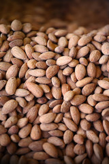 Nuts texture background