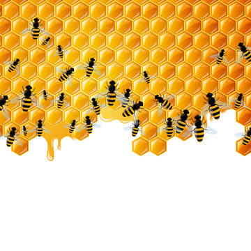 Vector Background with Honeycombs and the Bees