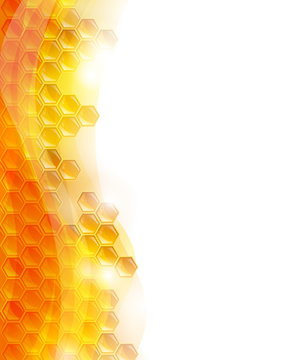 Vector Background with Honeycombs and the Bees