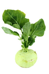 Cabbage kohlrabi