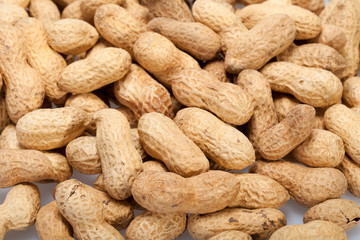 .Dried peanuts in closeup on the white background
