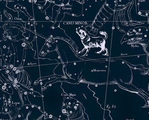 Constellation vintage map