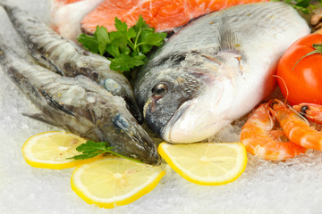 Fresh seafood on ice