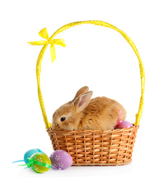 Fluffy foxy rabbit in basket with Easter eggs isolated on white