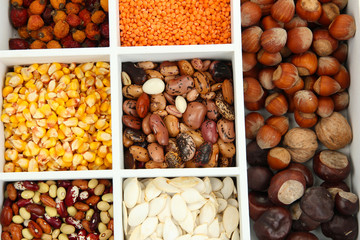 Assortment of chestnut,beans,.dry briar, nuts etc in white