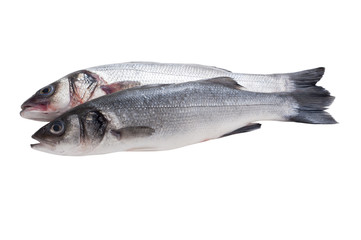 raw seabass