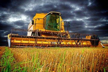 Combine Harvester and sky with dark clouds