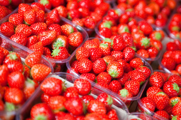 fresh strawberry