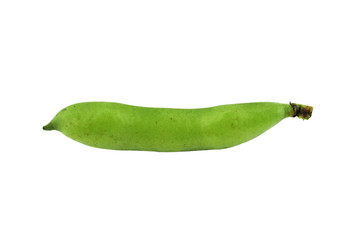 broad bean pods and beans