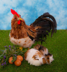 cobaye et décor de pâques