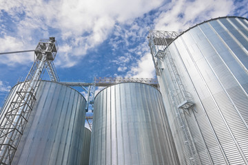 Storage silos for agricultural (cereal) products - 50730543