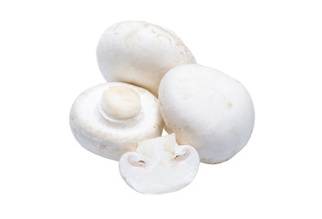 isolated mushrooms