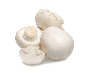 isolated mushrooms