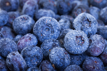 Wet Fresh Blueberries Berries