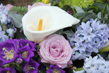 Calla lily in a blue purple arrangement