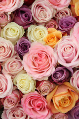 Obraz na płótnie Canvas Bridal flowers in pastel shades