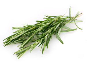 Fototapeta premium Fresh rosemary
