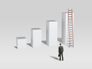 column and ladder © peshkova