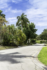 Fototapeta na wymiar Palm trees by a lush green lawn in Naples, Florida
