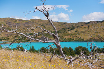 National park Torres del Paine, Patagonia, Chile
