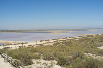 Santa Pola salt marsh