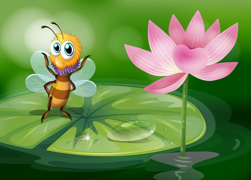 A bee above a waterlily