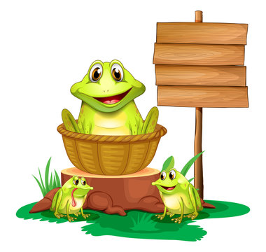 A frog inside a basket near the empty signboard