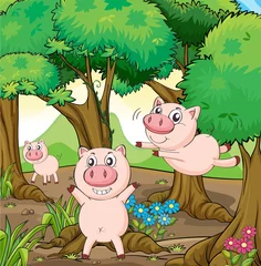 Fototapete Bauernhof Drei Schweine spielen im Wald