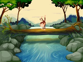 Türaufkleber Ein Affe über dem Baumstamm am Fluss © GraphicsRF
