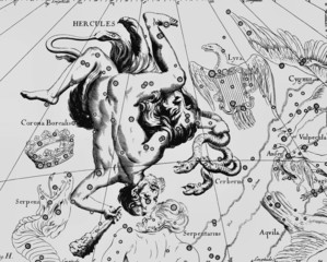 Constellation vintage map