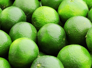 lime citrus fruit