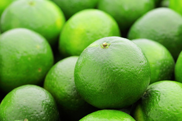 lime citrus fruit