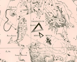 Constellation vintage map