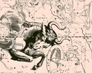 Constellation vintage map