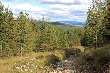 Fototapeta na wymiar stream in the Scottish hills