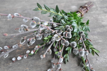 Fototapeta premium Palmbesen - Palmbuschen